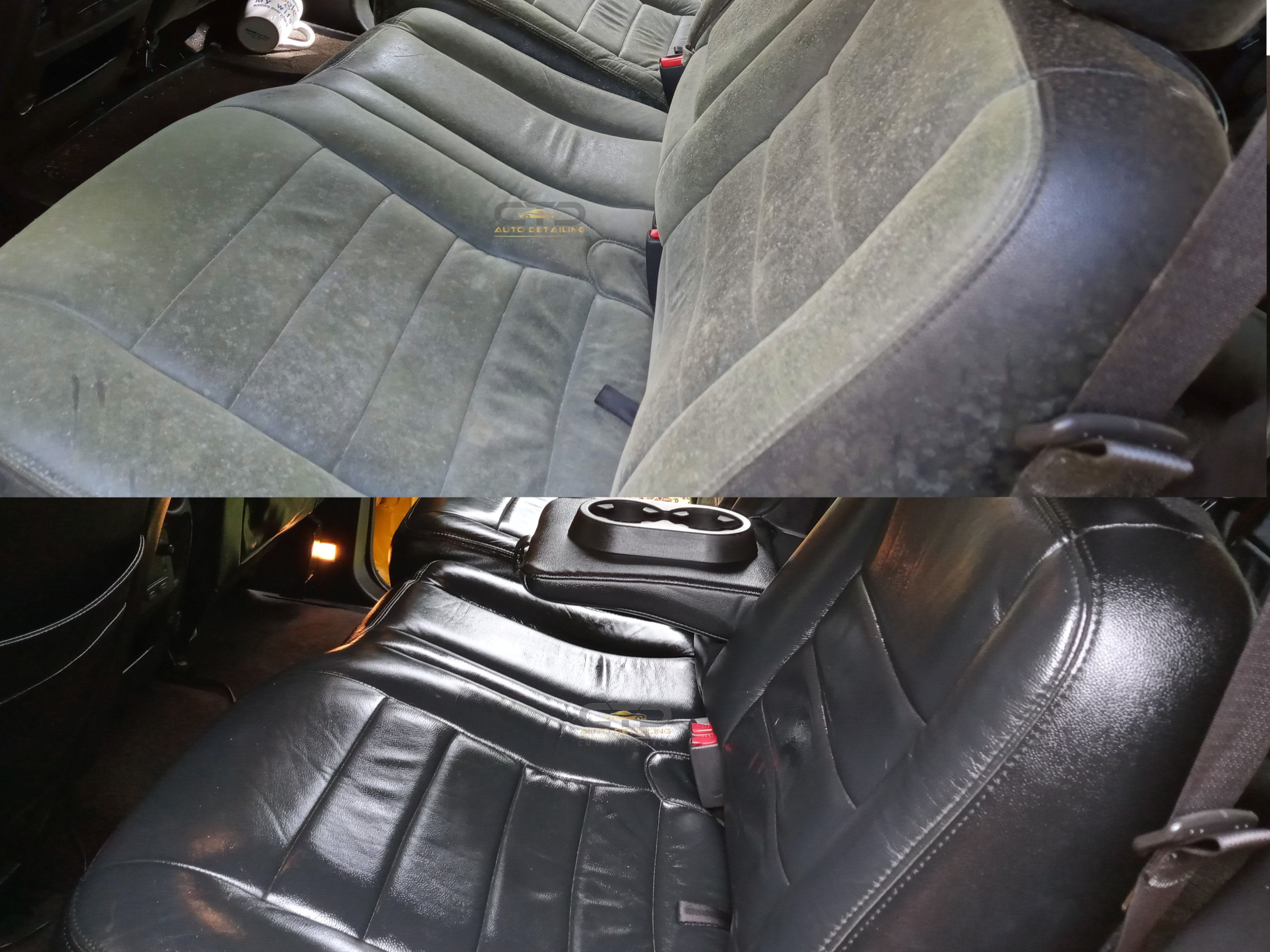 car mold removal orlando