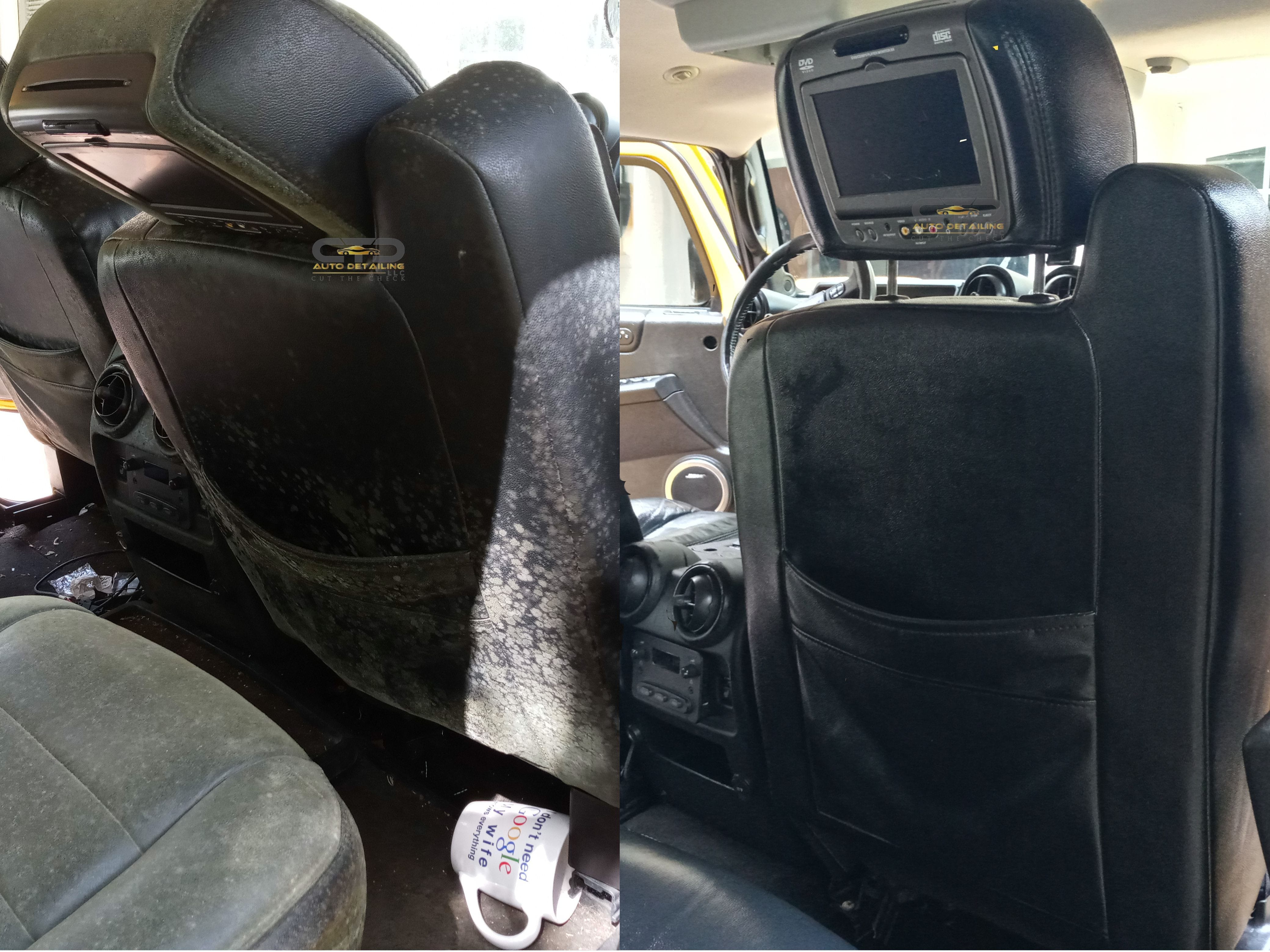 car mold removal orlando