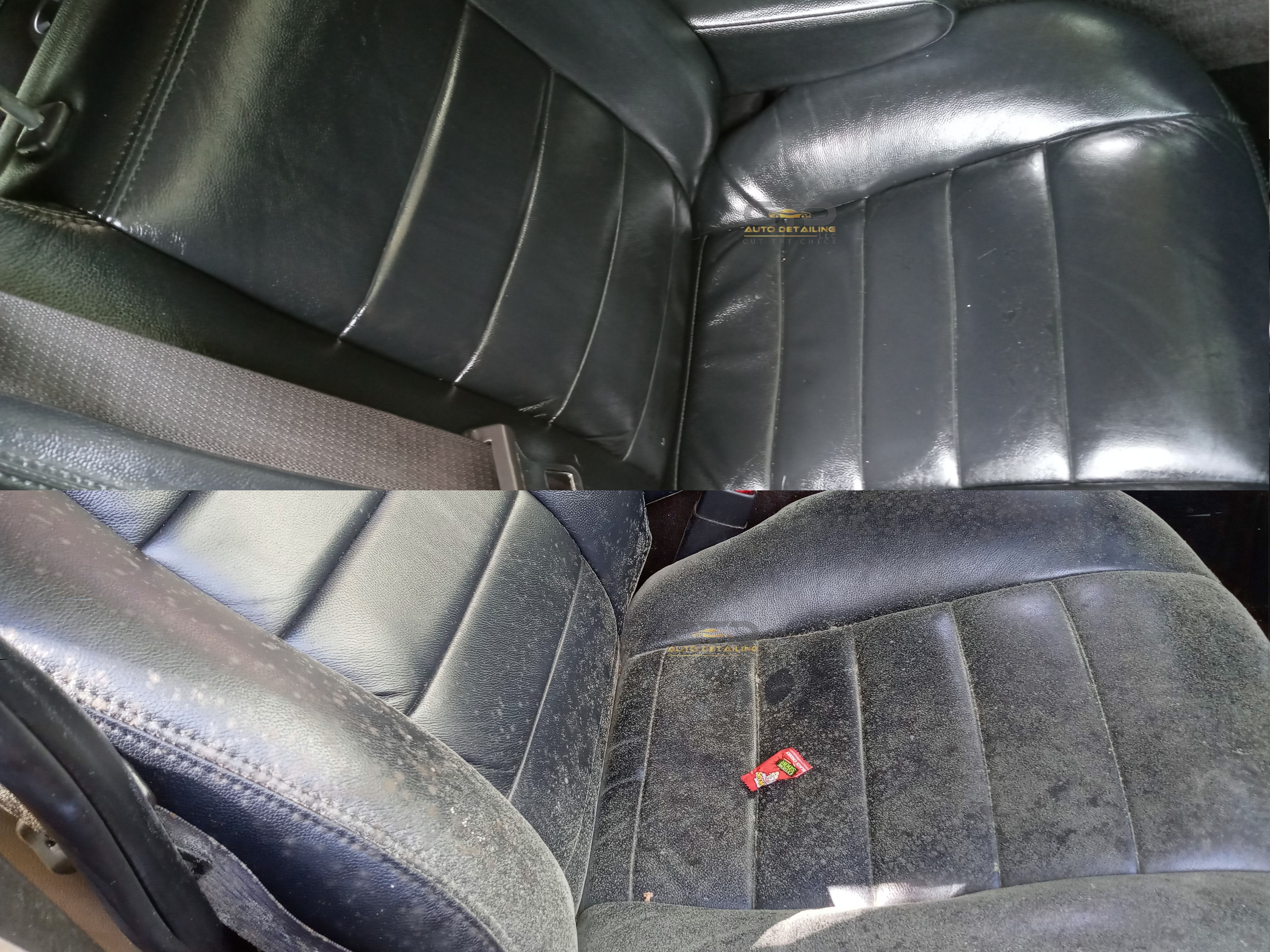 car mold removal orlando