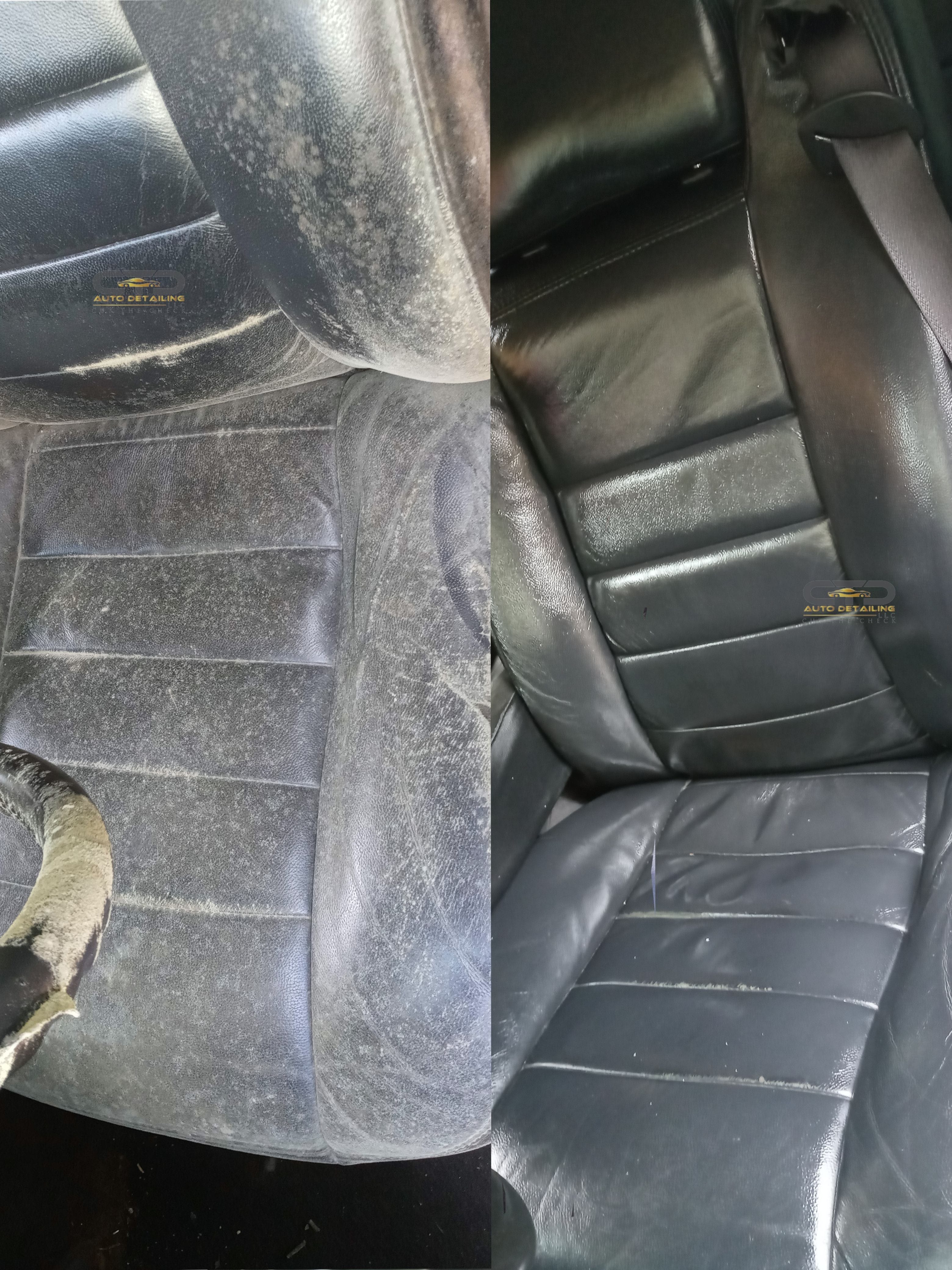 car mold removal orlando