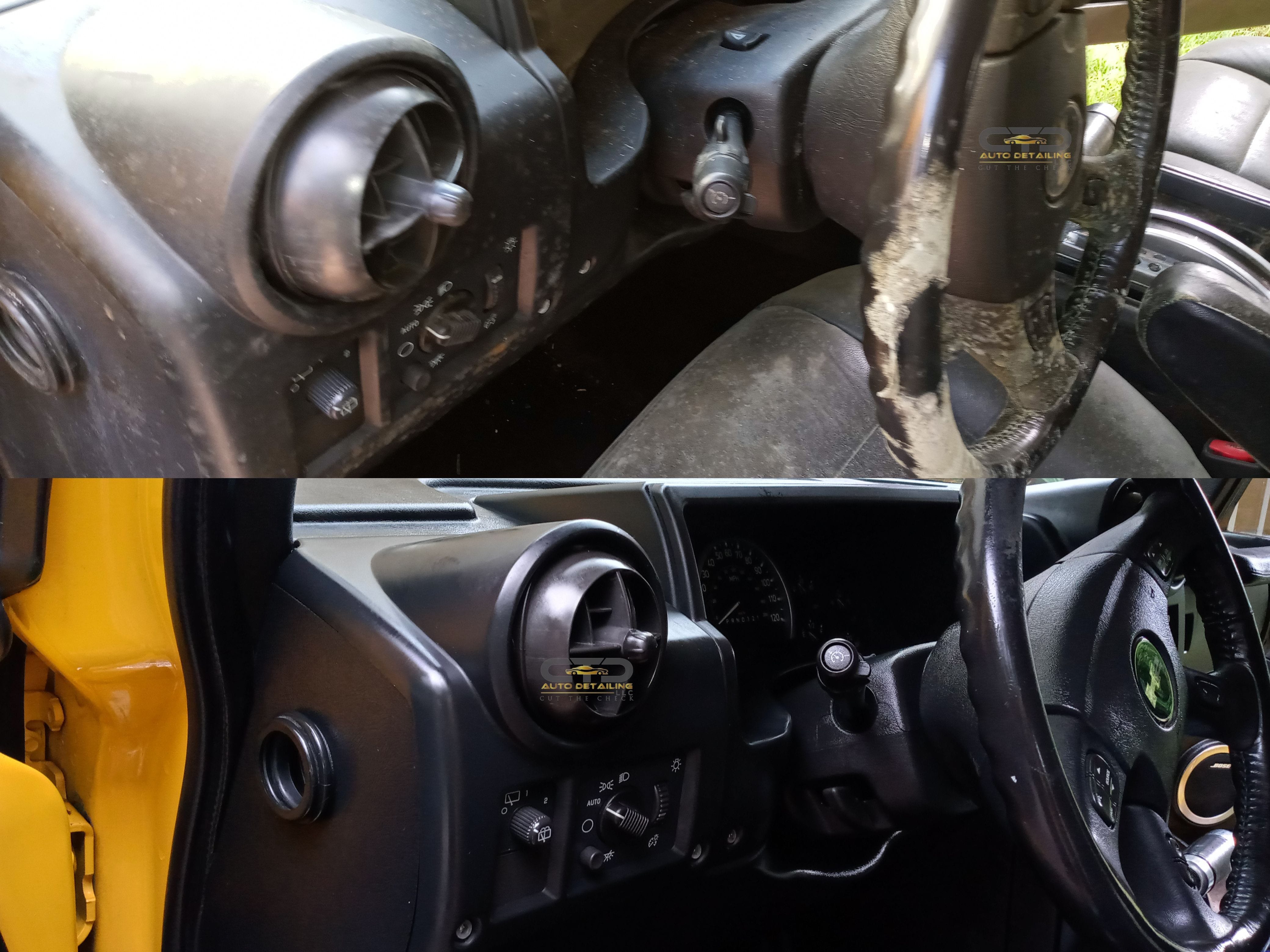 car mold removal orlando